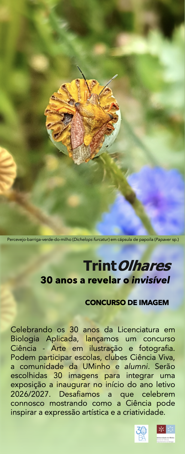 30 olhares copy
