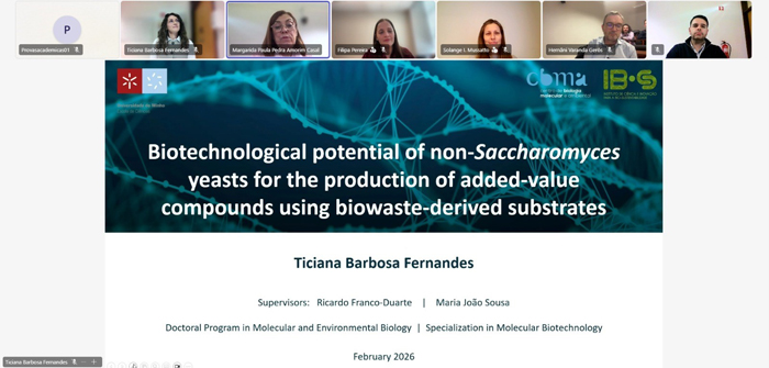 Ticiana4