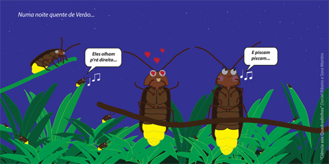 Pirilampos