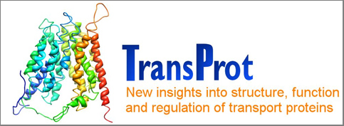 Logo TransPort