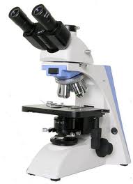 Microscópio